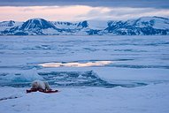 Multivisions-Show 'Norwegen - vom Fjordland bis Spitzbergen' (Foto: Klaus-Peter Kappest)