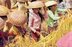 Vortrag 'Vom Pflanzstock zum Handtraktor - Die Entwicklung der Lebenssituation in den ländlichen Räumen Indonesiens' (Foto: Prof. Dr. Ulrich Scholz)