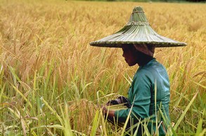 Vortrag 'Vom Pflanzstock zum Handtraktor - Die Entwicklung der Lebenssituation in den ländlichen Räumen Indonesiens' (Foto: Prof. Dr. Ulrich Scholz)