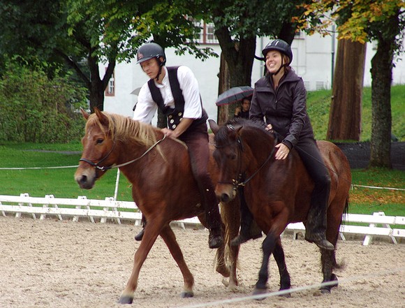 Beim Wikingertölt erreichten Manfred Ratschek mit Thora und Laura Hainbach mit Hödur den 2.Platz. Die Besonderheit beim Wikingertölt ist, dass ohne Sattel geritten wird, denn je weniger Hilfsmittel der Reiter benutzt, desto höher die Punktzahl. (WP-Foto: Elisabeth Sunke)