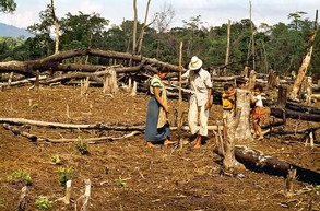 Vortrag 'Vom Pflanzstock zum Handtraktor - Die Entwicklung der Lebenssituation in den ländlichen Räumen Indonesiens' (Foto: Prof. Dr. Ulrich Scholz)