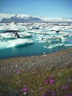 'Fotografisches Reisetagebuch - Island' (Foto: Christine Apler)