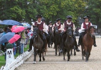 Zahlreiche Zuschauer hielten trotz des Starkregens am Reitplatz im Schlosspark durch und wurden mit hochklassigem Sport belohnt. (SZ-Foto: Martin Völkel)