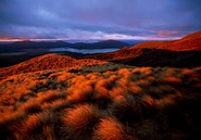 Berghang des Tongariro-Vulkanes (Foto: Dirk Bleyer)