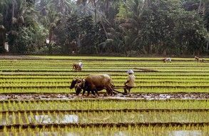 Vortrag 'Vom Pflanzstock zum Handtraktor - Die Entwicklung der Lebenssituation in den ländlichen Räumen Indonesiens' (Foto: Prof. Dr. Ulrich Scholz)