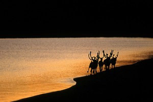 Fotoausstellung von Hannu Hautala: 'Erlebnis Natur'