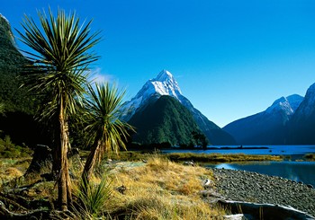 Besondere Landschaftsaufnahmen fingen die Atmosphäre gekonnt ein. Blick in den Milford Sound 2 (Foto: Dirk Bleyer)