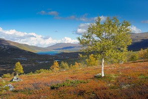 Hartmut Schneider: Herbst im Jotunheimen-Nationalpark