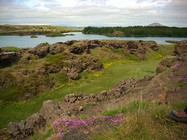 'Fotografisches Reisetagebuch - Island' (Foto: Christine Apler)