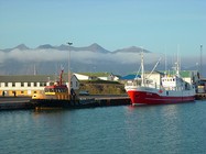 'Fotografisches Reisetagebuch - Island' (Foto: Christine Apler)