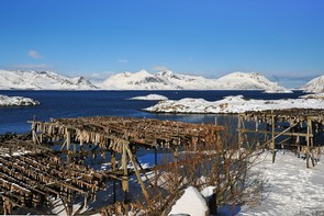 Hartmut Schneider: Lofoten im Winter