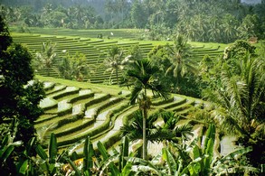 Vortrag 'Vom Pflanzstock zum Handtraktor - Die Entwicklung der Lebenssituation in den ländlichen Räumen Indonesiens' (Foto: Prof. Dr. Ulrich Scholz)