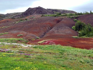 'Fotografisches Reisetagebuch - Island' von Christine Apler (Foto: Christine Apler)