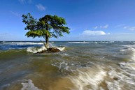 Ita Kirsch und Simone Blauth: 'Costa do Brasil' (Küste Brasiliens)