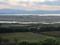 Kulinarische Weinprobe Spanien (Foto: Friedhelm Conrad)