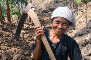 Vortrag 'Vom Pflanzstock zum Handtraktor - Die Entwicklung der Lebenssituation in den ländlichen Räumen Indonesiens' (Foto: Prof. Dr. Ulrich Scholz)