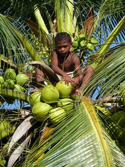 Klaus-Werner Friedrich: Indonesien im Blick - ein Vielvölkerstaat am Rande des Pazifiks