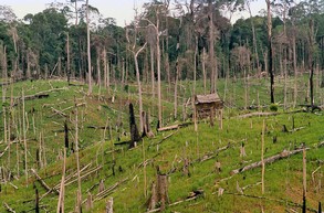 Vortrag 'Vom Pflanzstock zum Handtraktor - Die Entwicklung der Lebenssituation in den ländlichen Räumen Indonesiens' (Foto: Prof. Dr. Ulrich Scholz)