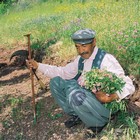 Fotoausstellung 'Ein Portrait zwischen gestern und heute' - Blumenwiesenmann