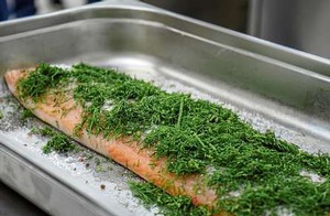 Der Lachs bekommt sein Aroma durch Cognac, Salz, Zucker und Dill. (WP-Foto: Britta Prasse)